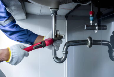 DIY vs. Professional When to Call a Plumber