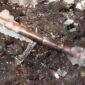 winter plumbing issues 85x85